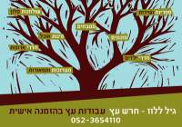 מיטל זהר ללוז's Avatar